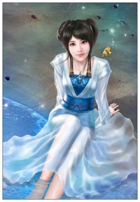 完美总裁妄想中